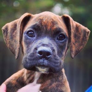 Meet your Posher, Mary